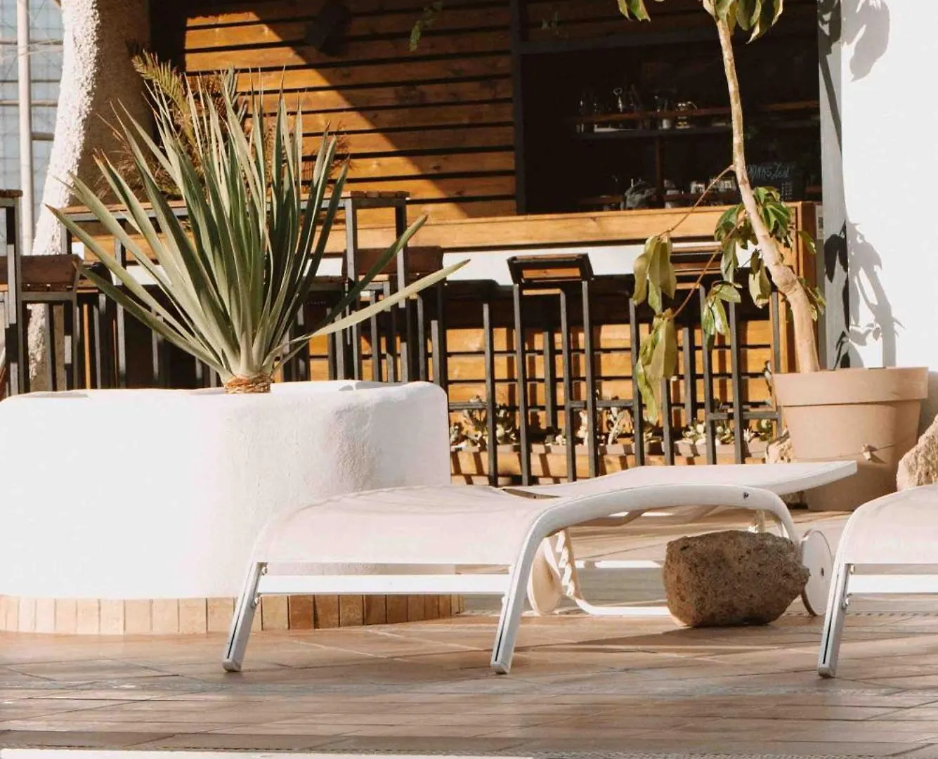 Hostel The Tree House Tenerife El Médano