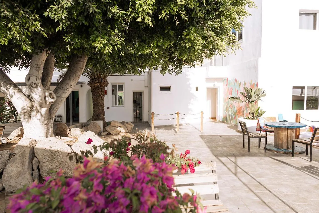 Hostel The Tree House Tenerife El Medano