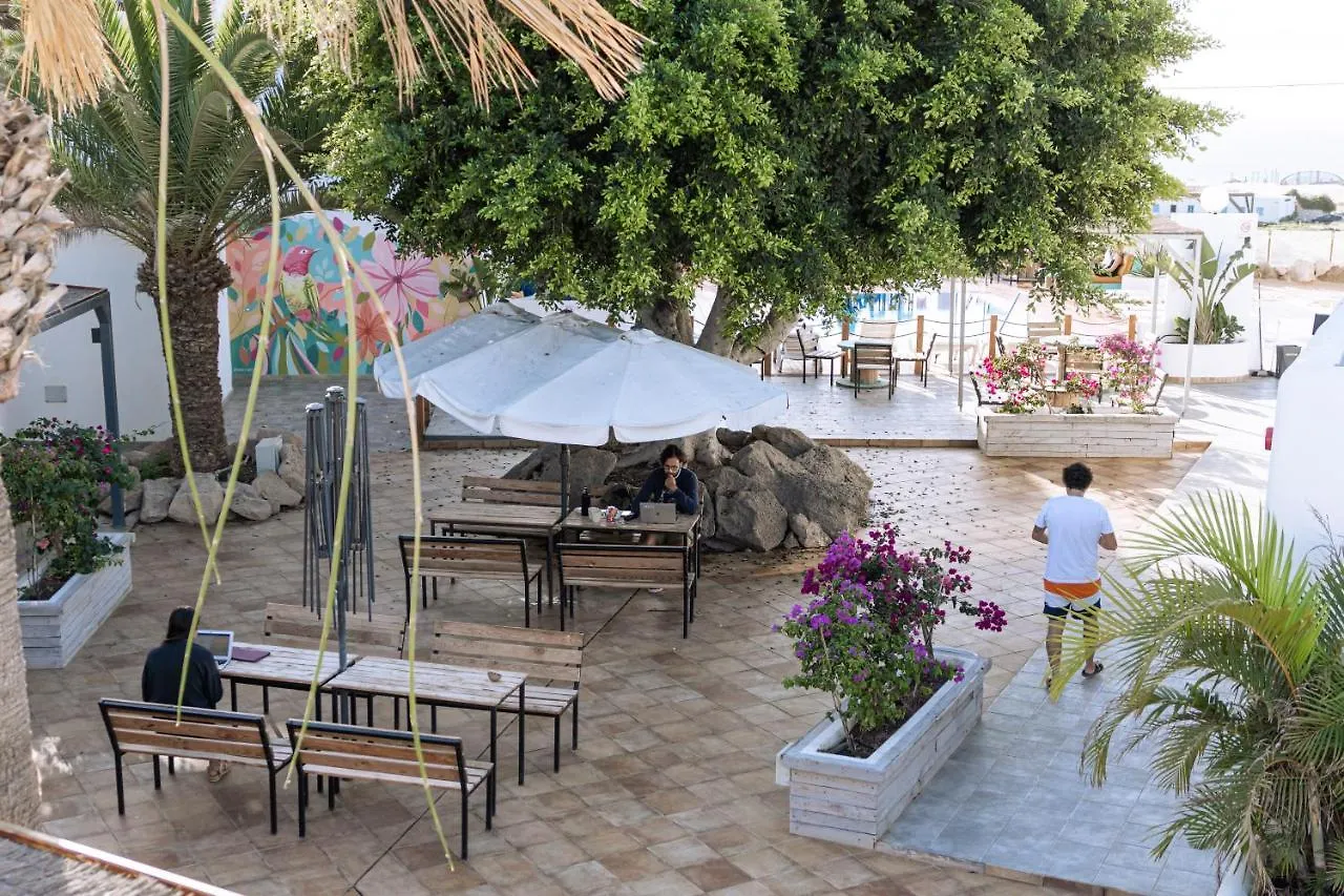 The Tree House Tenerife Эль-Медано Испания