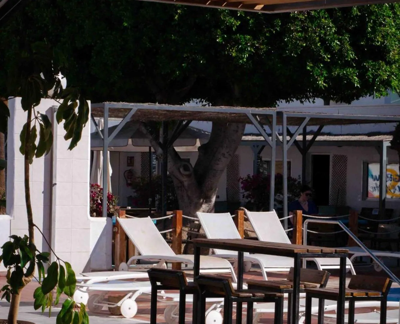 The Tree House Tenerife Эль-Медано Хостел