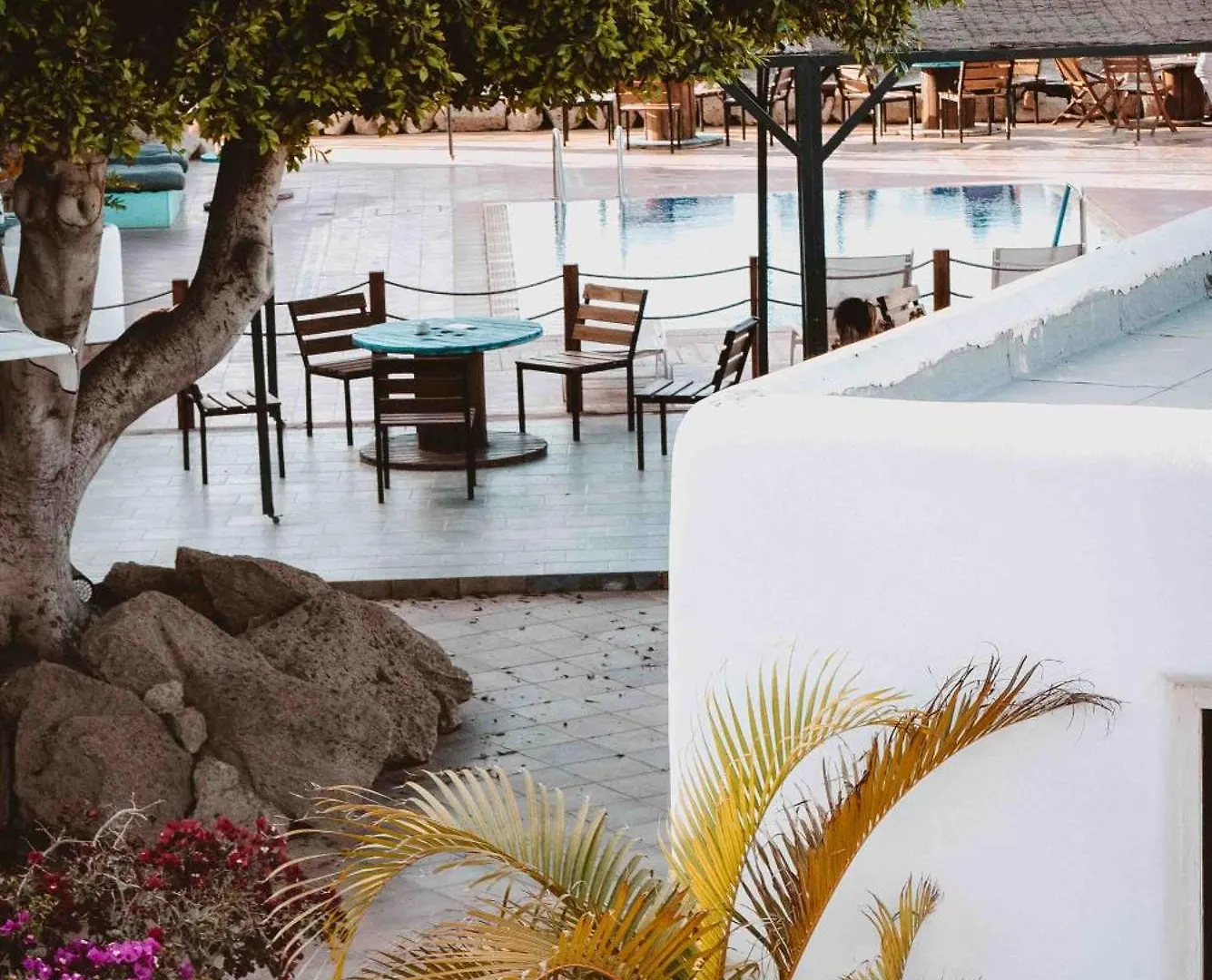 The Tree House Tenerife El Medano  El Medano (Tenerife)