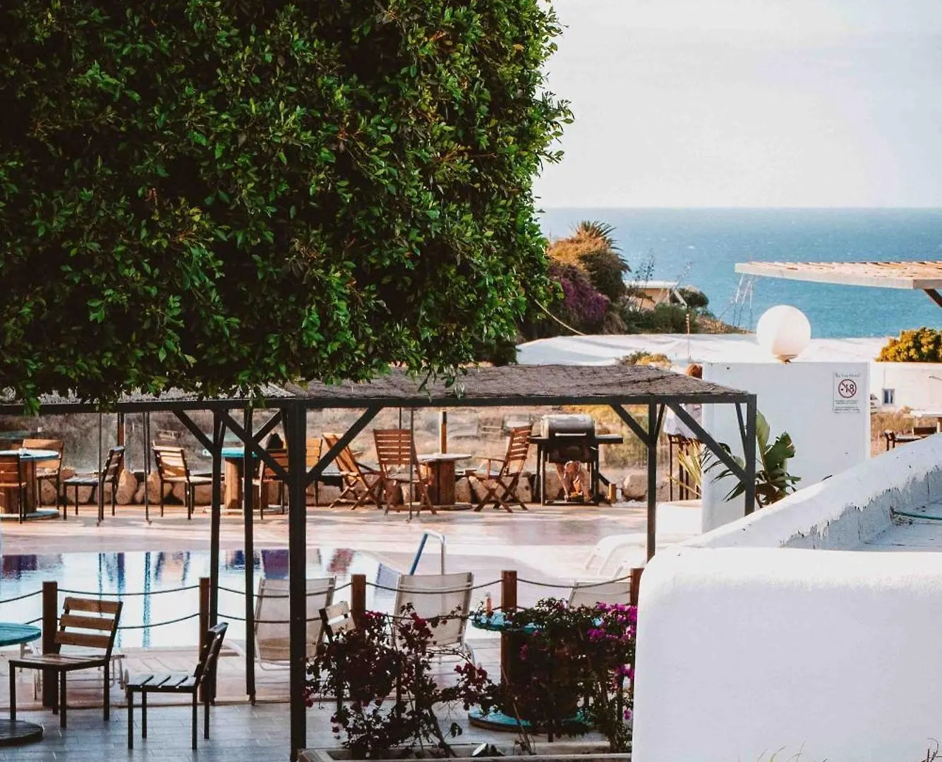 The Tree House Tenerife El Medano  Hostel