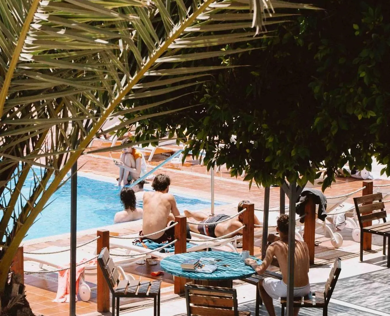 The Tree House Tenerife El Medano  Hostel El Medano (Tenerife)